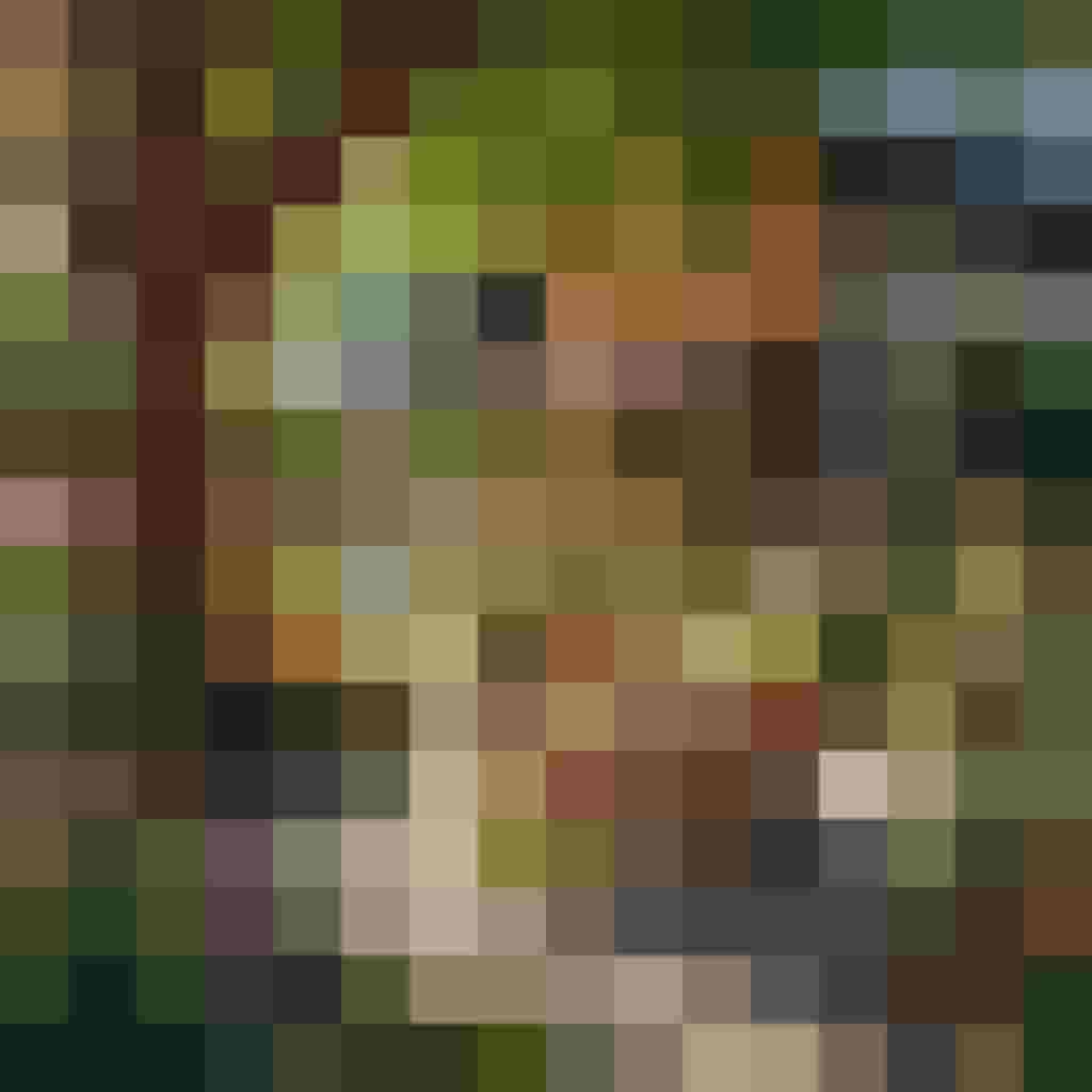 Pflegeleichte, seniorengerechte Gartengestaltung