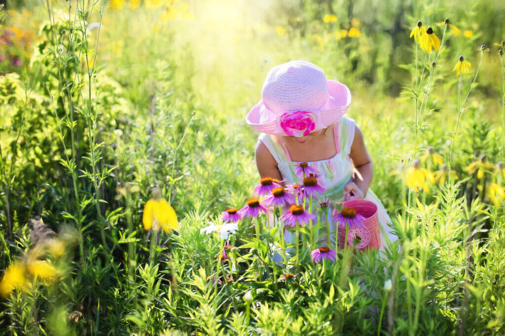 Ein Mädchen im Sommerkleid pflückt in der Blumenwiese Rudbeckia und Echinacea