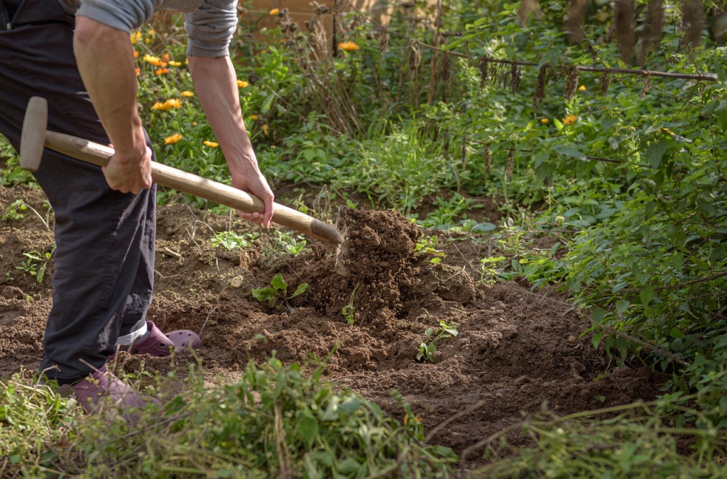 Ein Hobbygärtner50+ gräbt mühsam mit dem Spaten die Erde um.