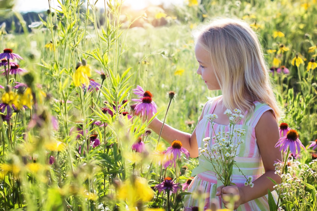 Ein blondes Mädchen im weißen Sommerkleid steht in einer Blumenwiese und bewundert eine Sonnenhut-Blüte.
