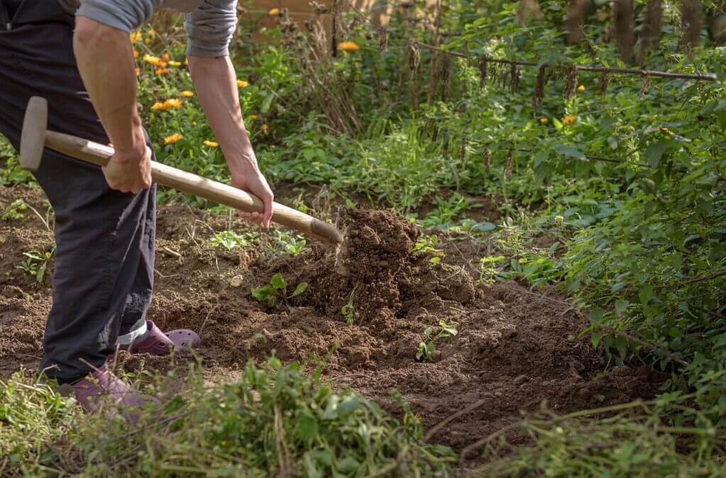 Ein Mann gräbt mit dem Spaten die Erde um.