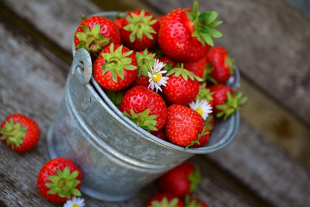Ein Zinkeimer prall gefüllt mit frischen Erdbeeren
