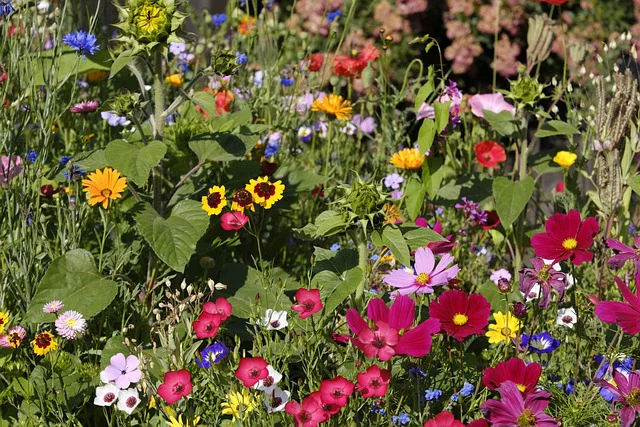 Buntes Blumenbeet im Sommer