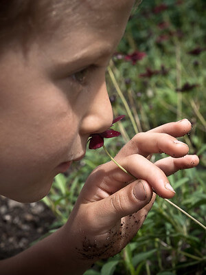 Ein kleiner Junge schnuppert andächtig an einer Schokoladenblume.