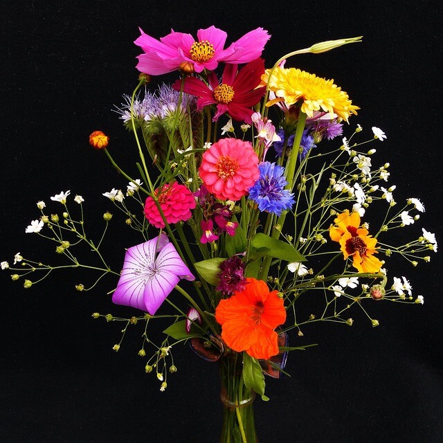 Ein Blumenstrauß mit Sommerblumen steht in einer Vase