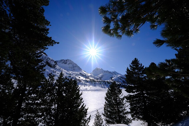 Blick durch den Zirbelwald auf eine winterliche Bergwelt