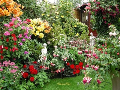 Blick in einen kleinen Garten mit üppig blühenden Sommerblumen