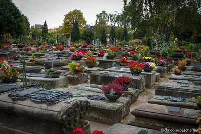 Blick auf einen Urnenfriedhof mit vielen Kübelpflanzen