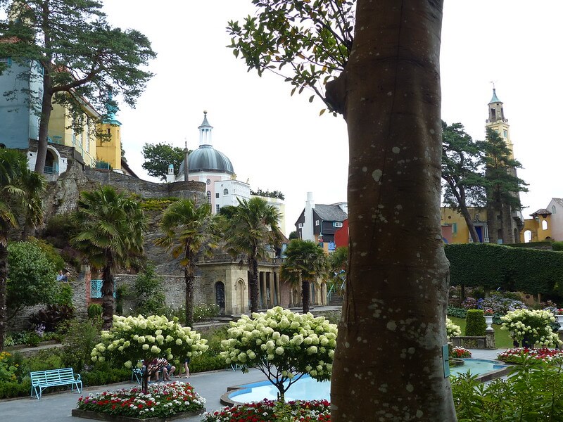 In einem städtischen Park mit dem Blick auf Kirchen stehen mehrere weiß blühende Rispenhortensien als Bäumchen mit bunter Unterpflanzung.
