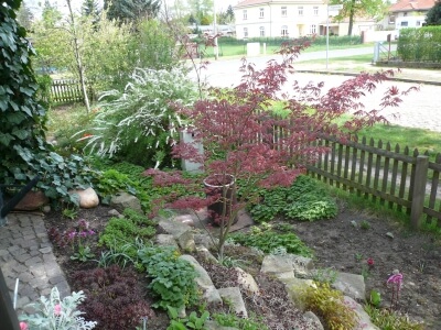 Blick auf einen Hanggarten als kleinen Vorgarten mit Holzzaun. Der Hanggarten ist gestaltet mit kleinen Bodendeckern und großen Steinen. Im Hintergrund stehen Sträucher mit roten Blättern oder weißen Blüten.