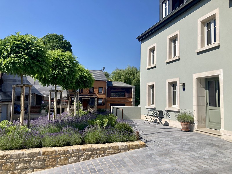 Blick auf eine Vorgartengestaltung mit Lavendel und Kugel-robinien vor einem grauen Haus mit einem gepflasterten Zugang.