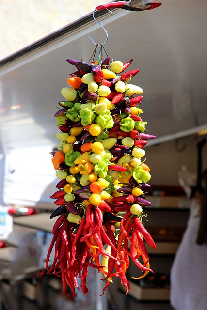 An einem Haken hängen verschiedene Chili Schoten in zahlreichen Formen und Farben