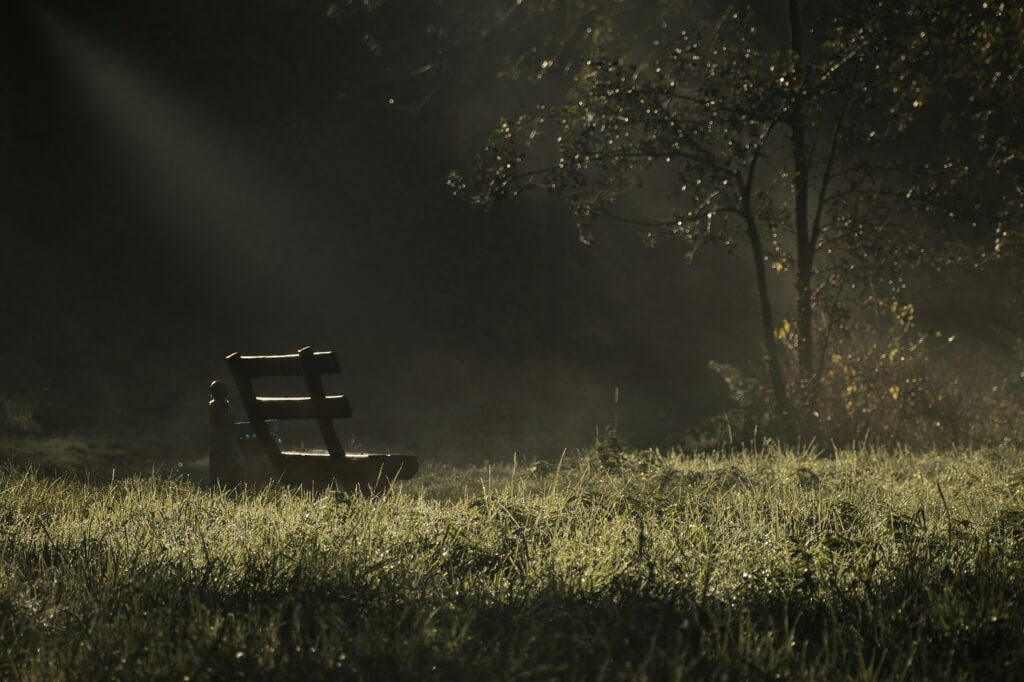 In einer regennassen Wiese steht eine Sitzbank aus Holz. Im Hintergrund steht ein Baum. Sonnenstrahlen fallen auf die nasse Wiese.
