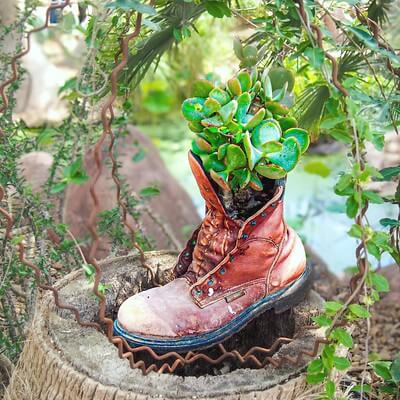 Ein alter Schuh ist bepflanzt mit Sukkulenten und steht auf einem Baumstumpf.