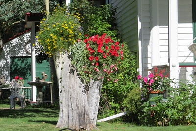 In einem Garten mit einem weißen Holzhaus im Hintergrund steht ein Baumstumpf, bepflanzt mit bunten Sommerblumen, die dekorativ herabhängen.