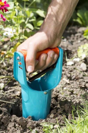 Eine Männerhand drückt den Blumenzwiebelpflanzer von Gardena in die Erde.