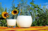 ein Krug mit Milch und ein mit Milch halb gefülltes Glas vor dem Hintergrund von Sonnenblumen