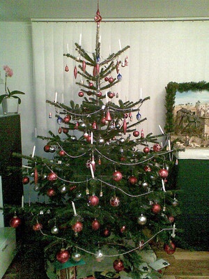 In einem Wohnzimmer steht eine Blaufichte, schön geschmückt als Weihnachtsbaum