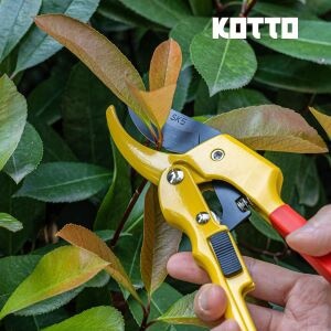 Eine Männerhand hält die Kotto Bypass-Gartenschere und schneidet einen Zweig ab.
