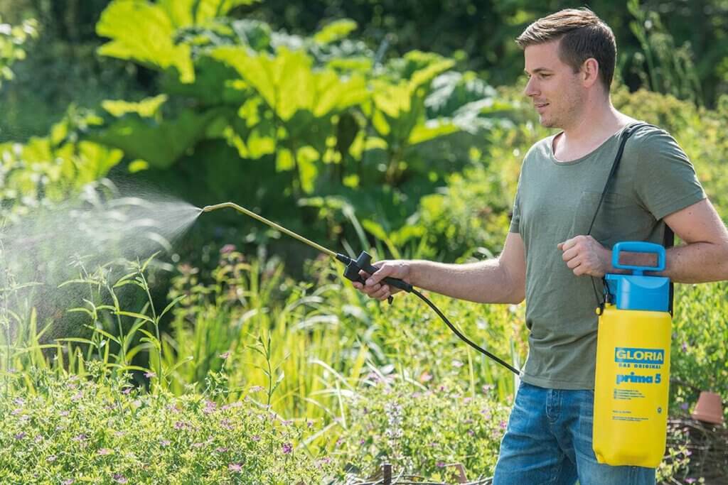 Ein Mann trägt den Gloria Drucksprüher über der Schulter und besprüht Gartenpflanzen