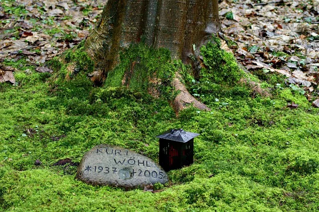 Blick auf ein Naturgrab unter einem Baum mit Moos, Grabstein und Grablampe