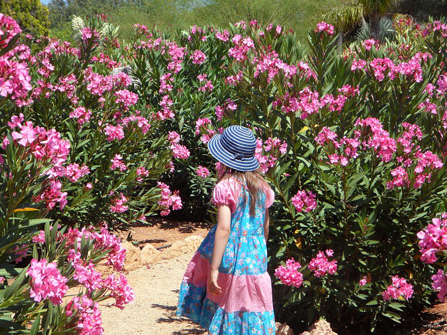 Ein Mädchen im Sommerkleid mit blauem Sommerhut geht einen Weg entlang, an dem rechts und links Oleander Villa Romaine stehen.