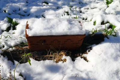 Ein Blumenkasten steht im Schnee und auf dem Substrat liegt ebenfalls Schnee