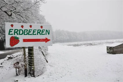 Hinweisschild auf Erdbeeren mitten in einer Schneelandschaft