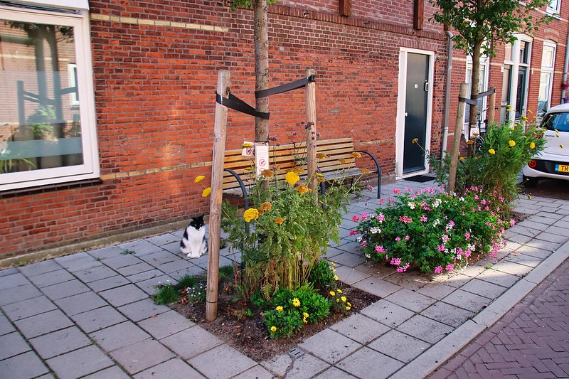 Straßenbeete mit blühenden Blumen und Sträuchern