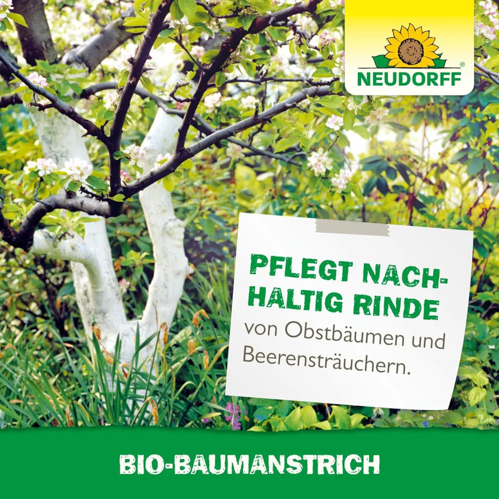 Obstbaum mit Weißanstrich von Neudorff