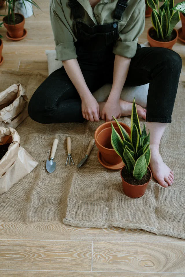 Frau sitzt auf dem Boden vor Bogenhanf, Topf, Substrat, Blumenschaufel