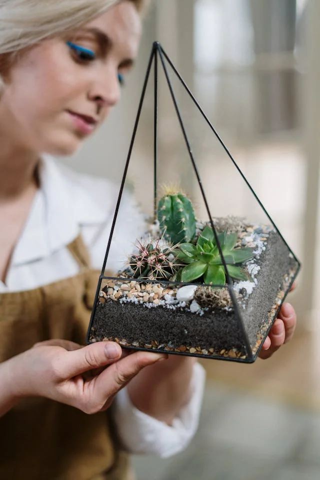 Kaktus und Sukkulenten eingepflanzt in einem Glas-Terrarium hält eine Frau leicht schräg in die Kamera