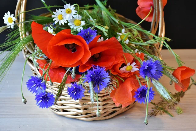 Blumenstrauß aus Klatschmohn, Kornblumen und Margeriten in einem Korb